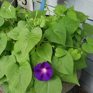 Meet your Posher, Sally